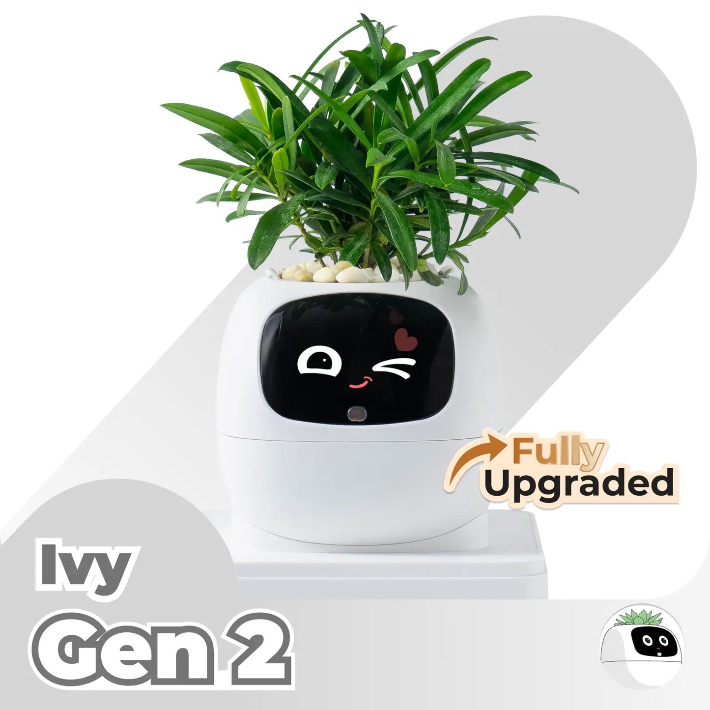 LeafBuddy™ Desk Plant Companion