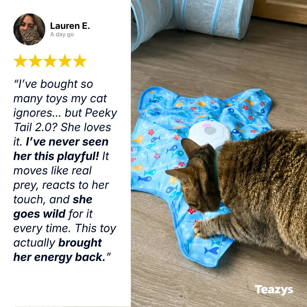 PouncePlay™ Interactive Cat Hunting Toy